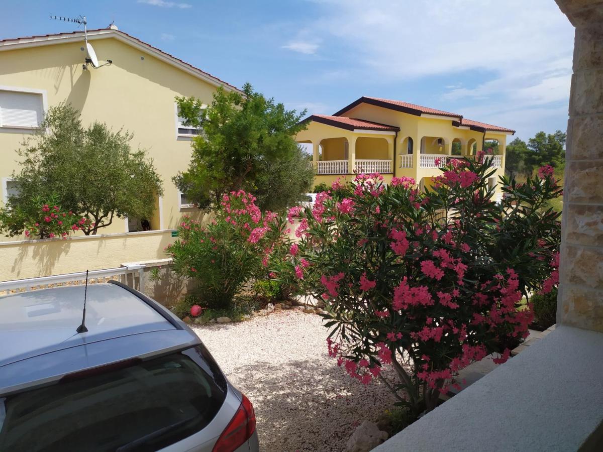 Apartmani Vjeko Vir Exterior photo